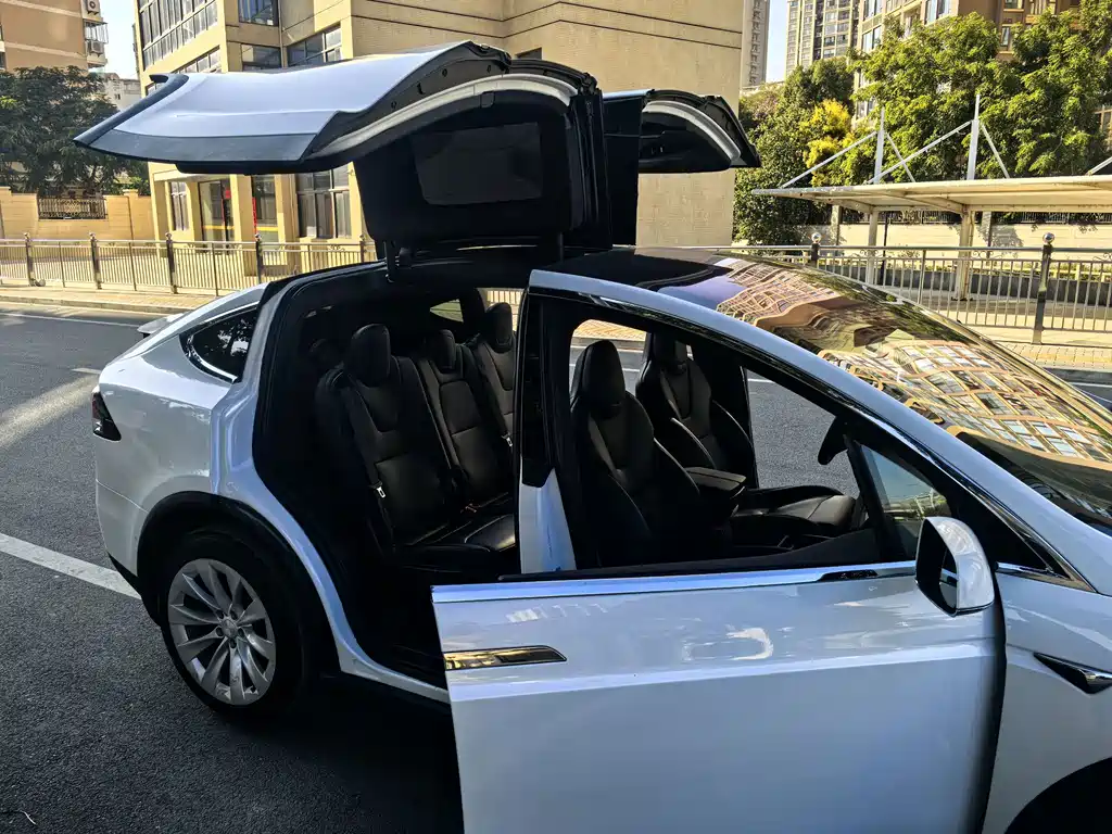 Tesla Model X — фото 8