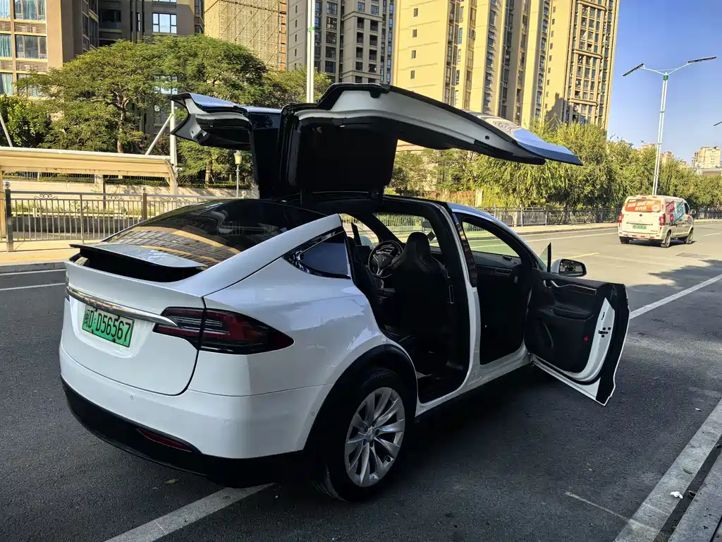 Tesla Model X — фото 9