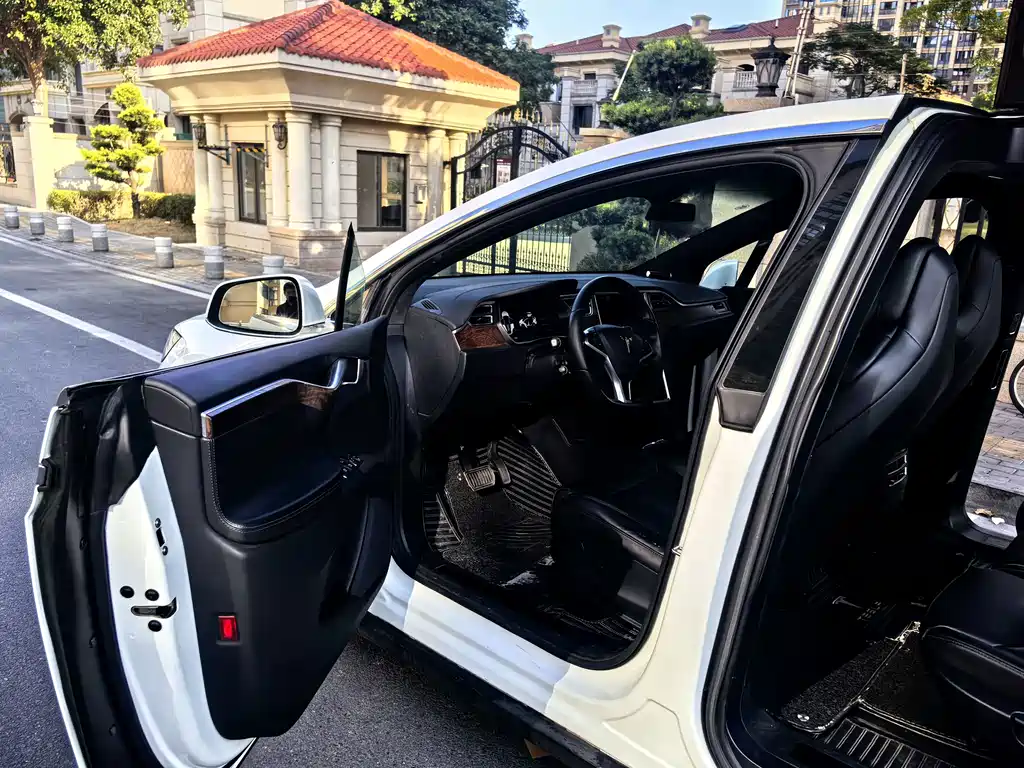 Tesla Model X — фото 10
