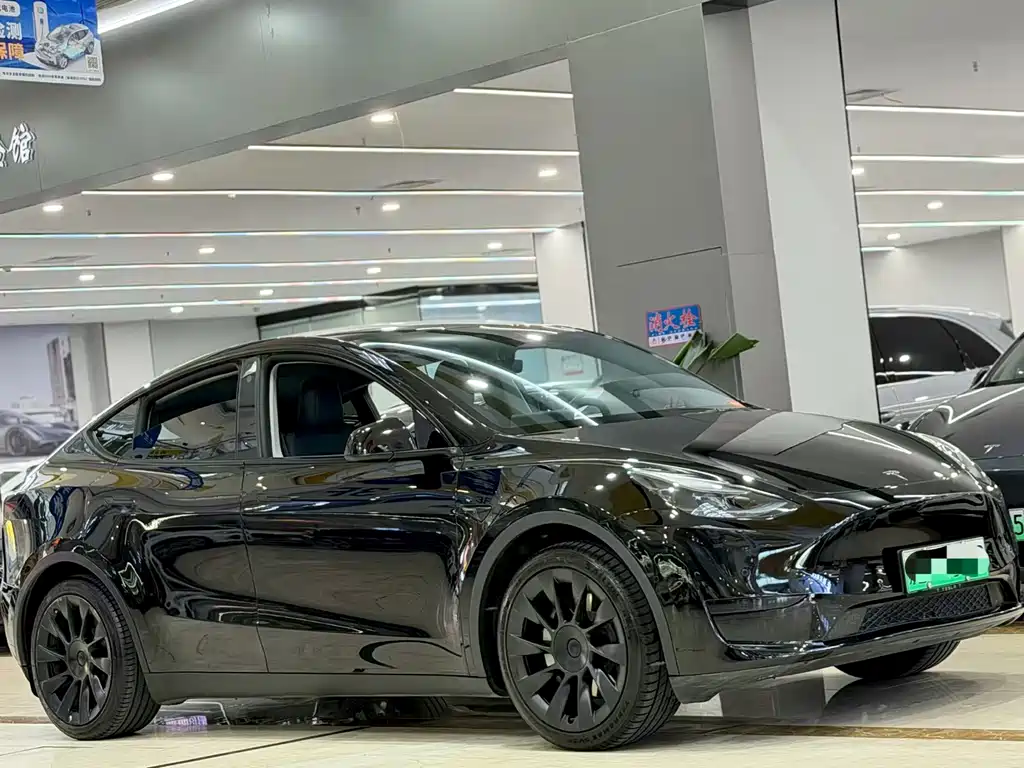 Tesla Model Y — фото 3