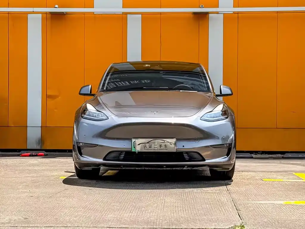 Tesla Model Y — фото 2