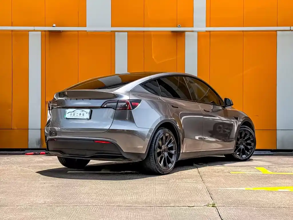 Tesla Model Y — фото 3