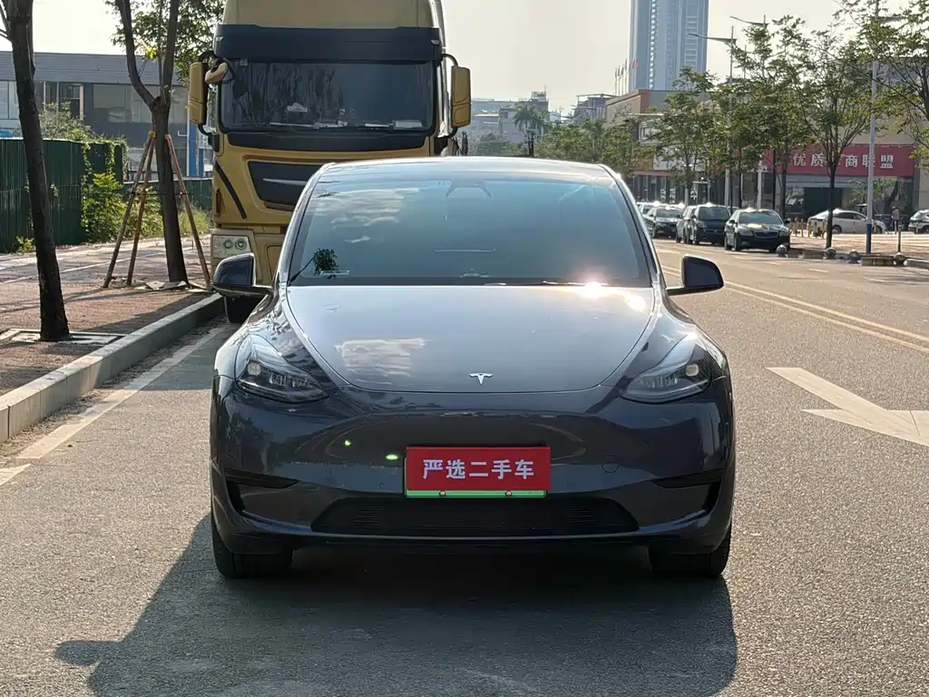 Tesla Model Y — фото 2