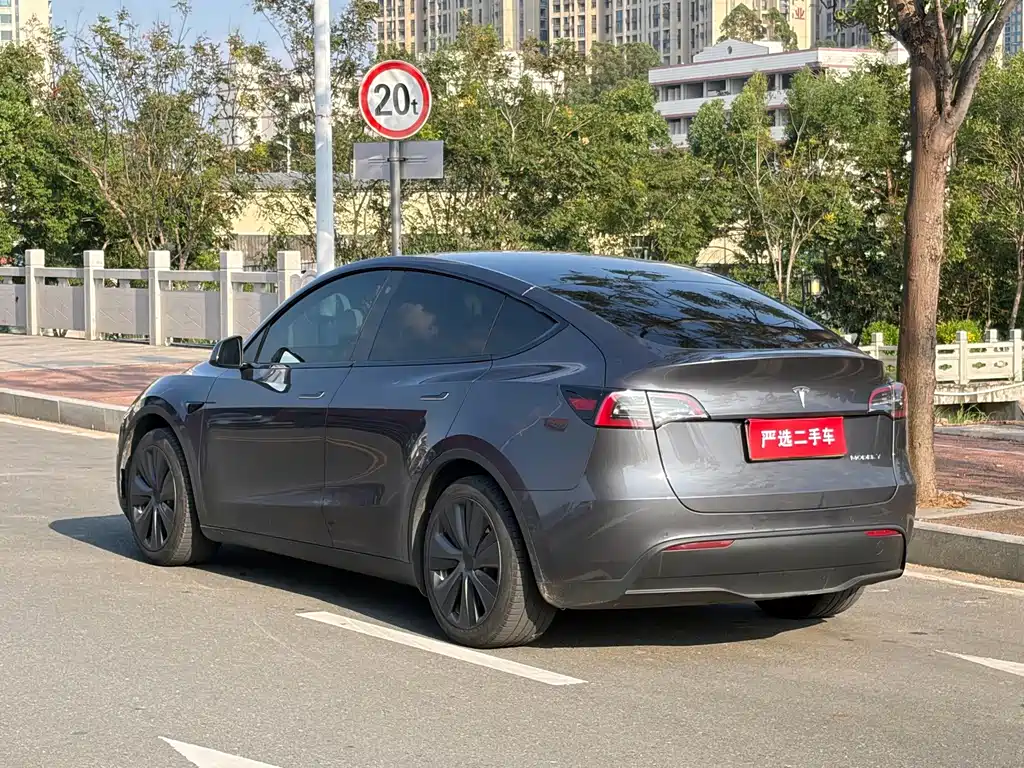 Tesla Model Y — фото 7