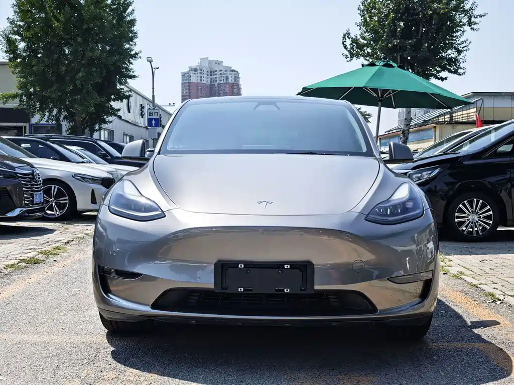 Tesla Model Y — фото 2