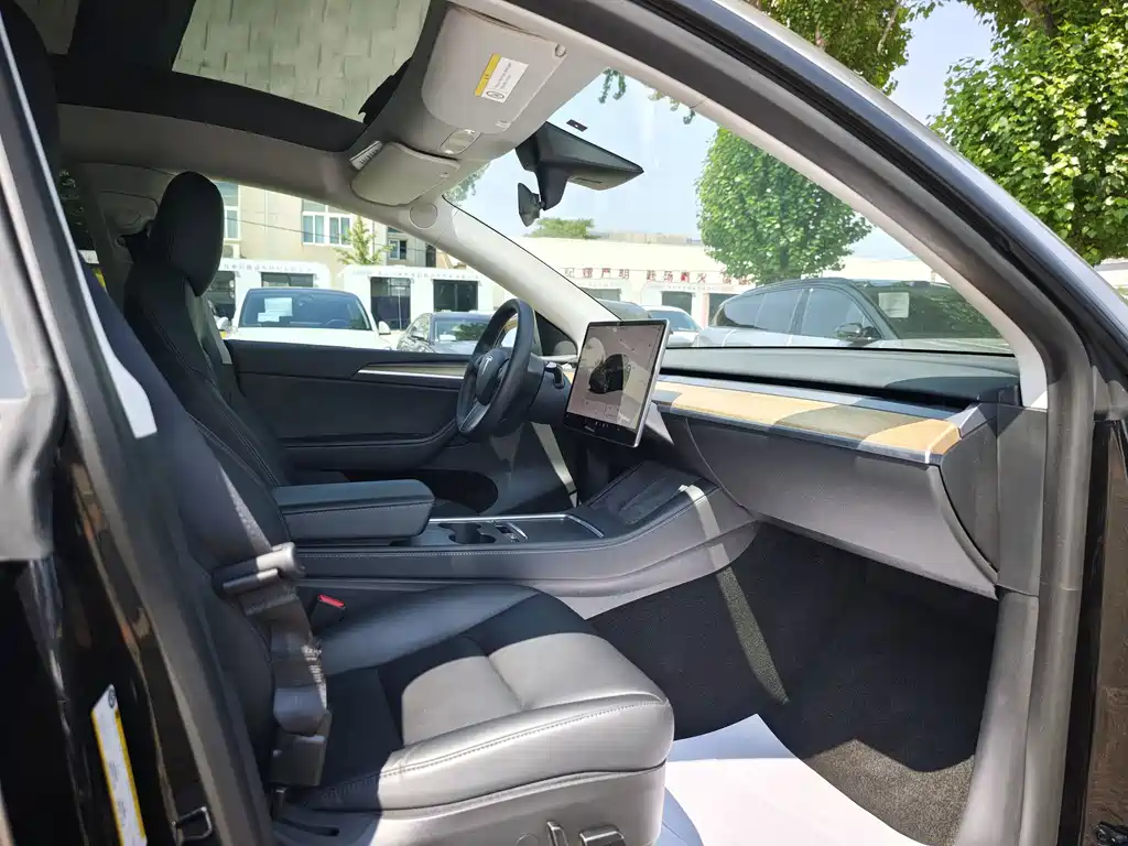 Tesla Model Y — фото 11
