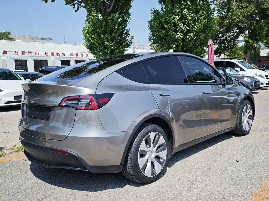 Tesla Model Y — фото 17