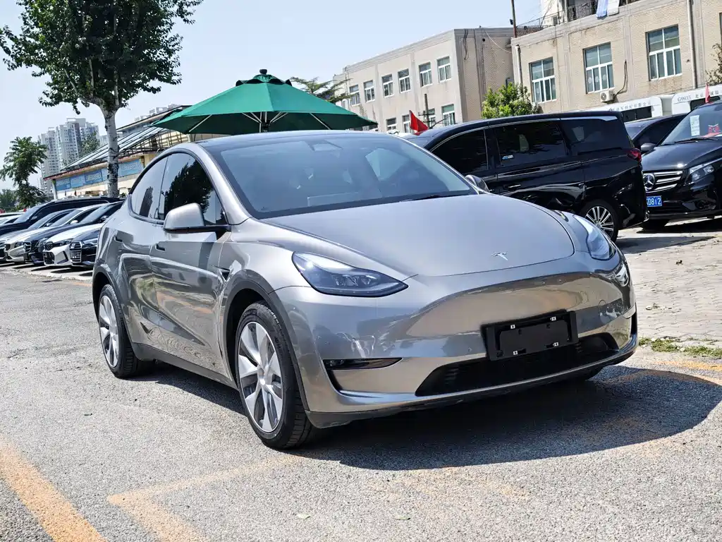Tesla Model Y — фото 3