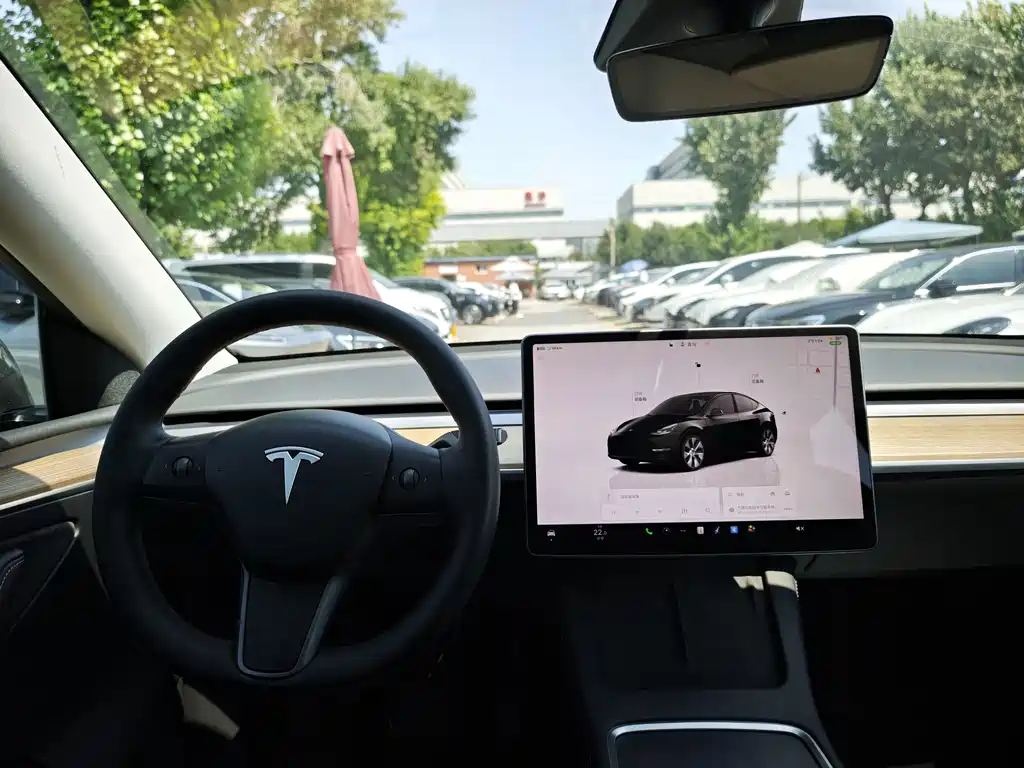 Tesla Model Y — фото 6