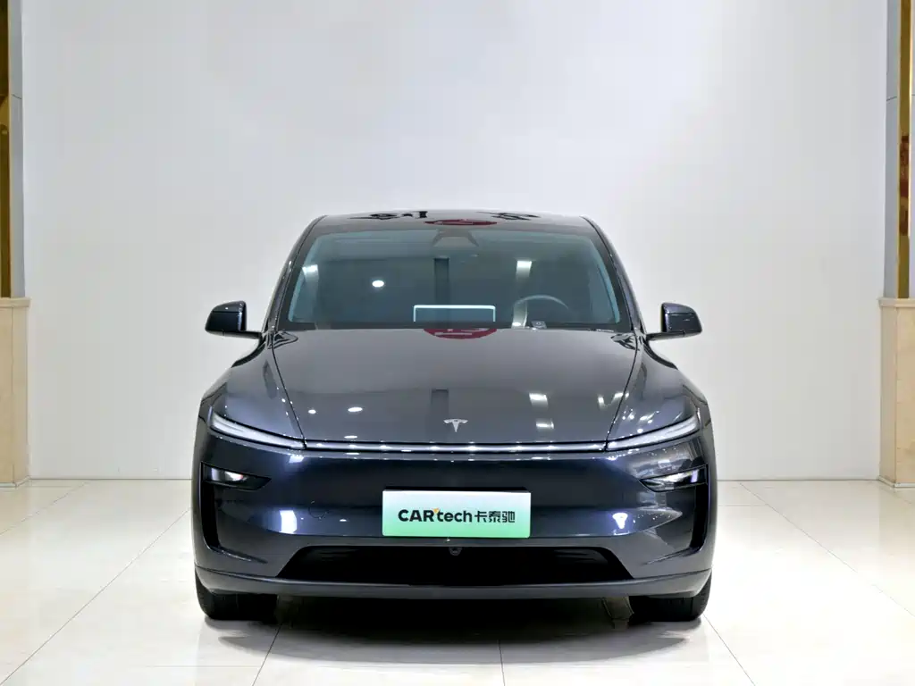 Tesla Model Y — фото 2