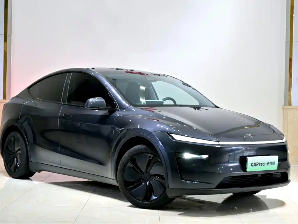 Tesla Model Y — фото 3
