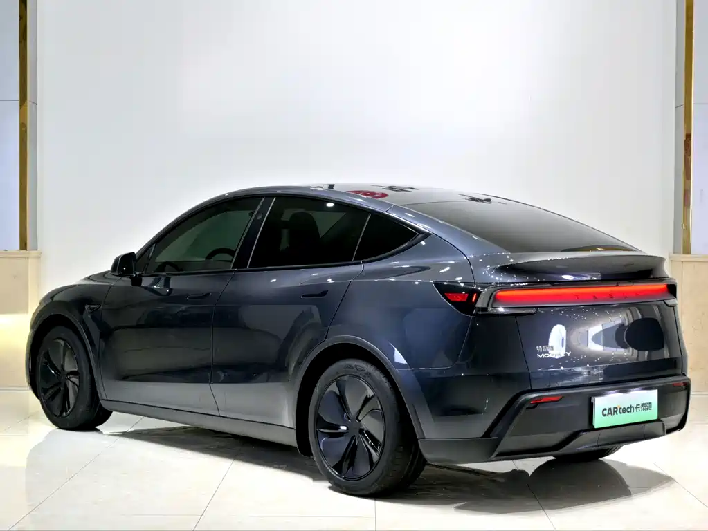 Tesla Model Y — фото 23