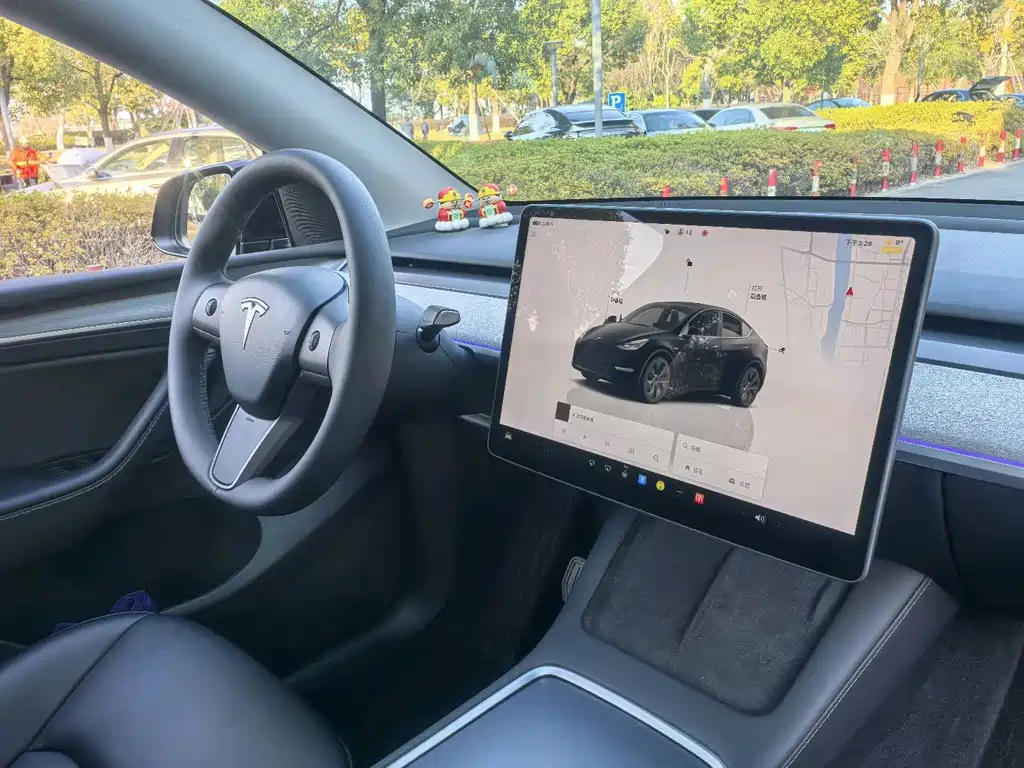 Tesla Model Y — фото 13
