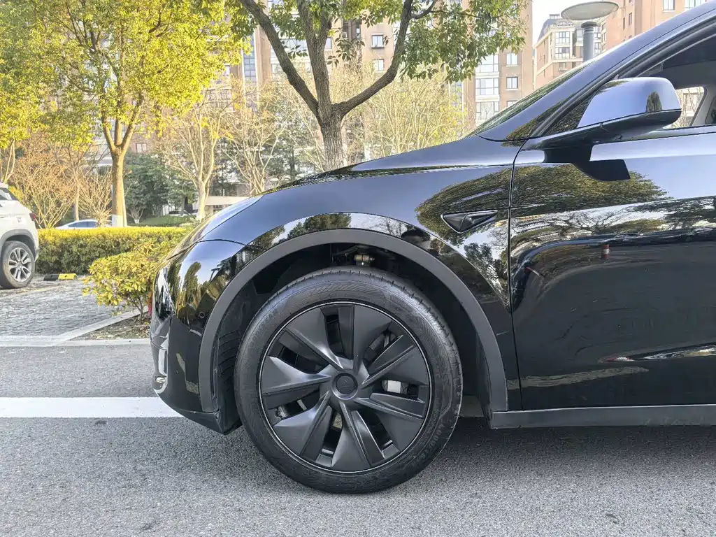 Tesla Model Y — фото 14
