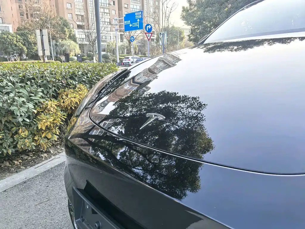 Tesla Model Y — фото 15