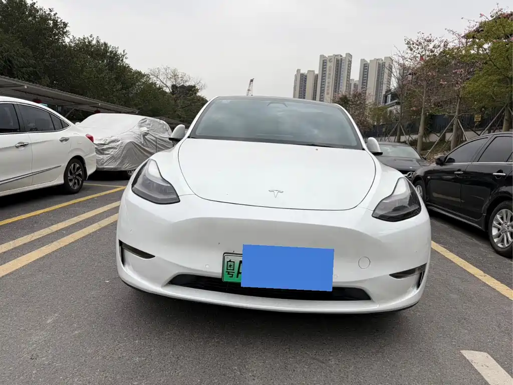 Tesla Model Y — фото 3