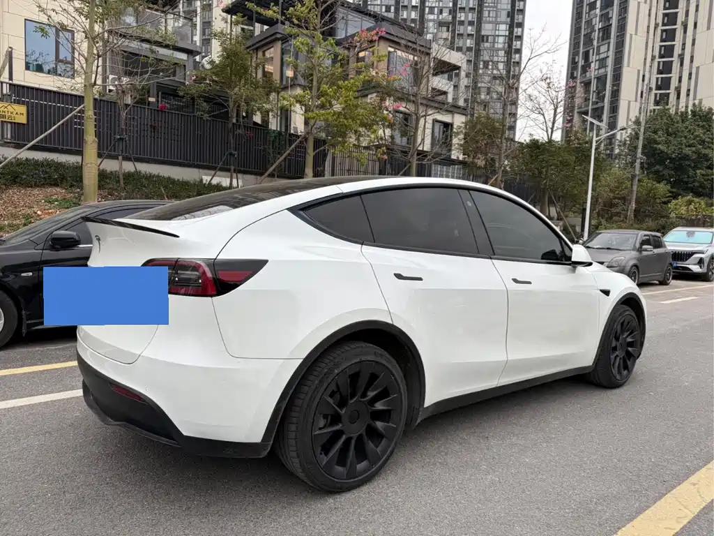 Tesla Model Y — фото 4