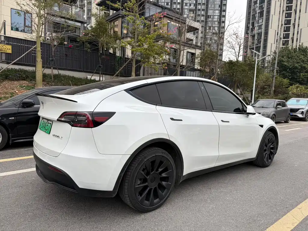 Tesla Model Y — фото 5