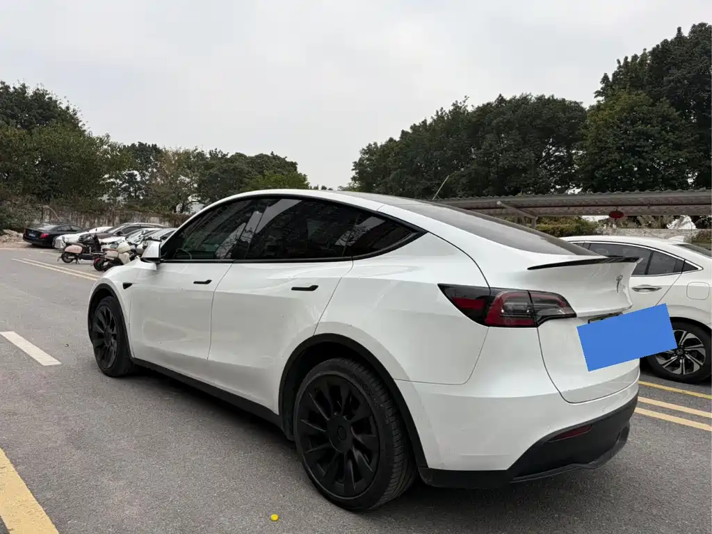 Tesla Model Y — фото 6
