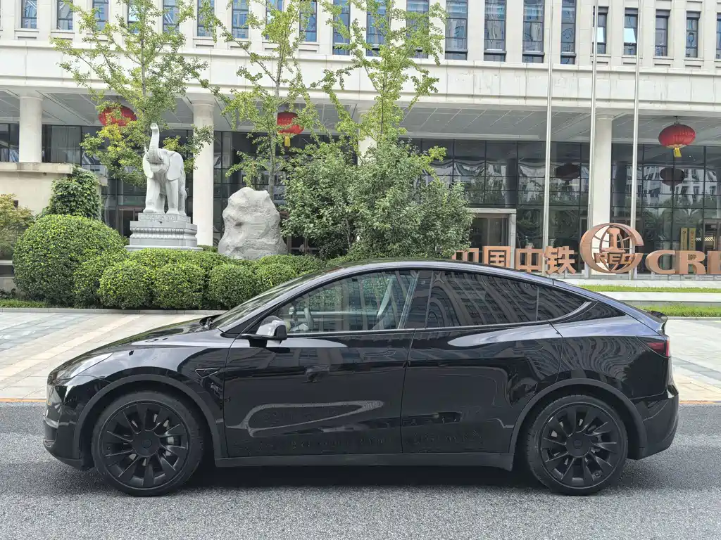 Tesla Model Y — фото 2