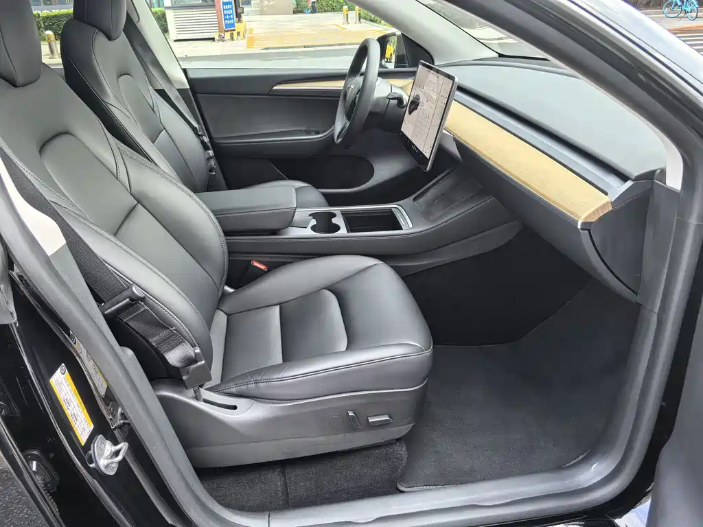Tesla Model Y — фото 11
