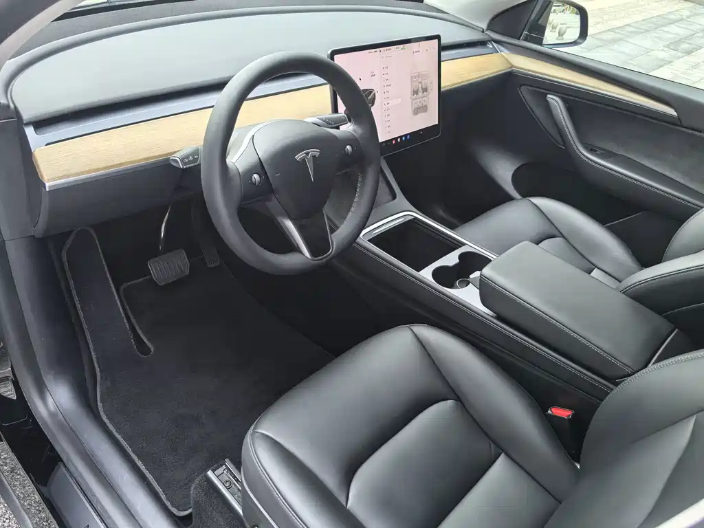 Tesla Model Y — фото 20