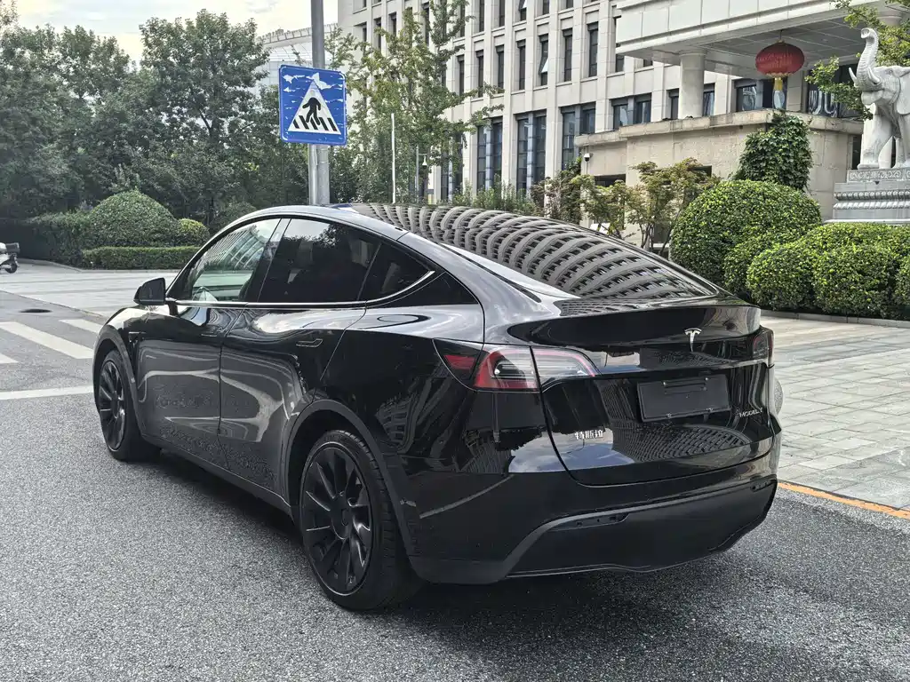 Tesla Model Y — фото 3