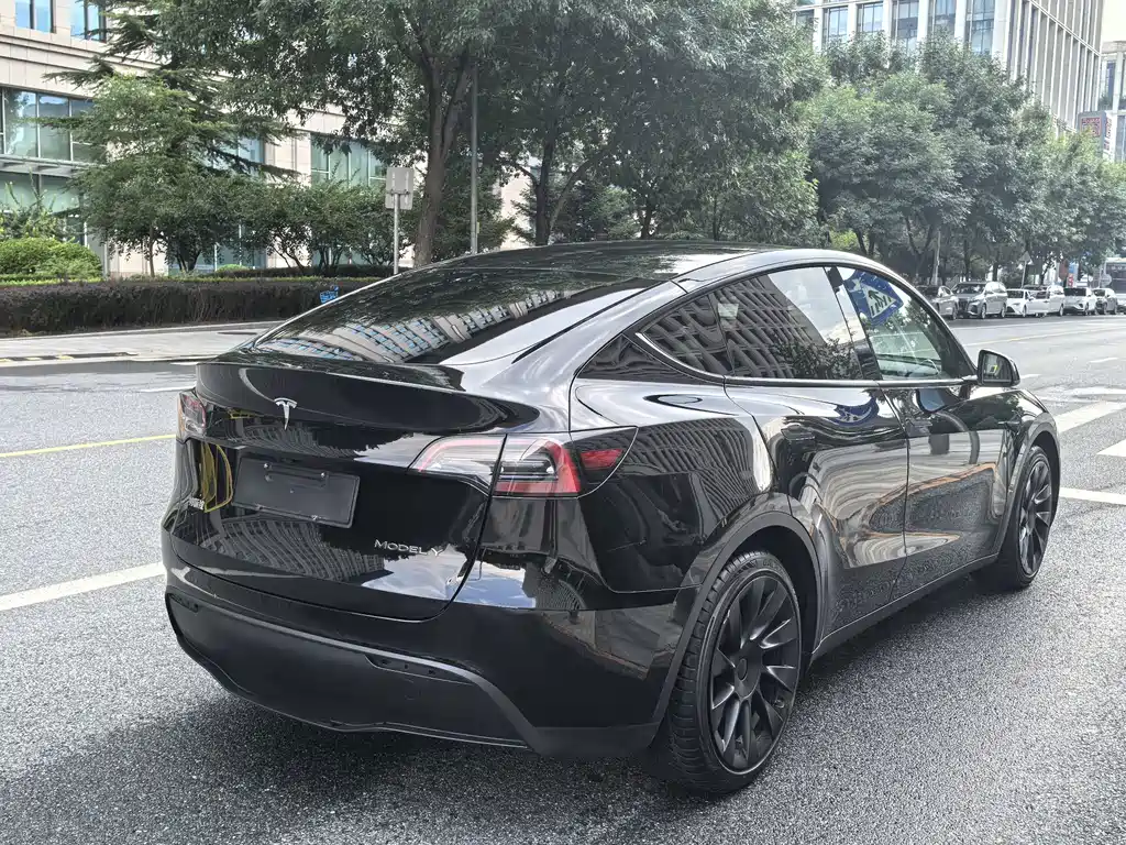 Tesla Model Y — фото 5