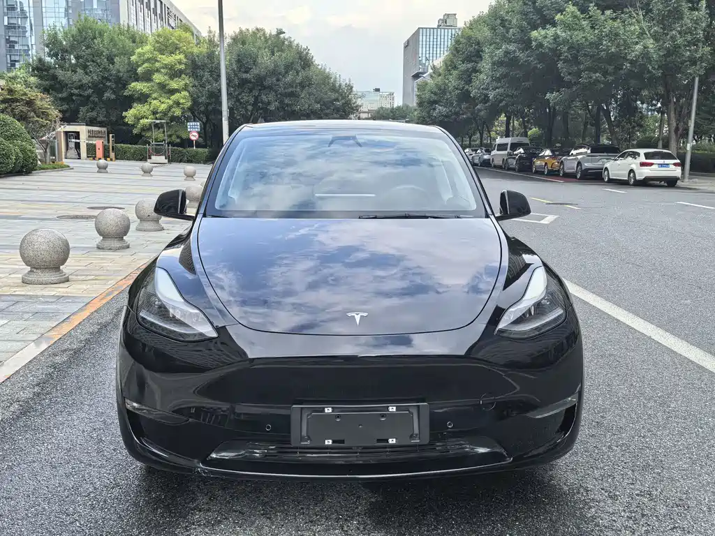 Tesla Model Y — фото 8
