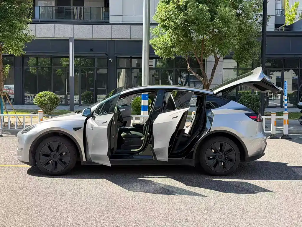 Tesla Model Y — фото 2