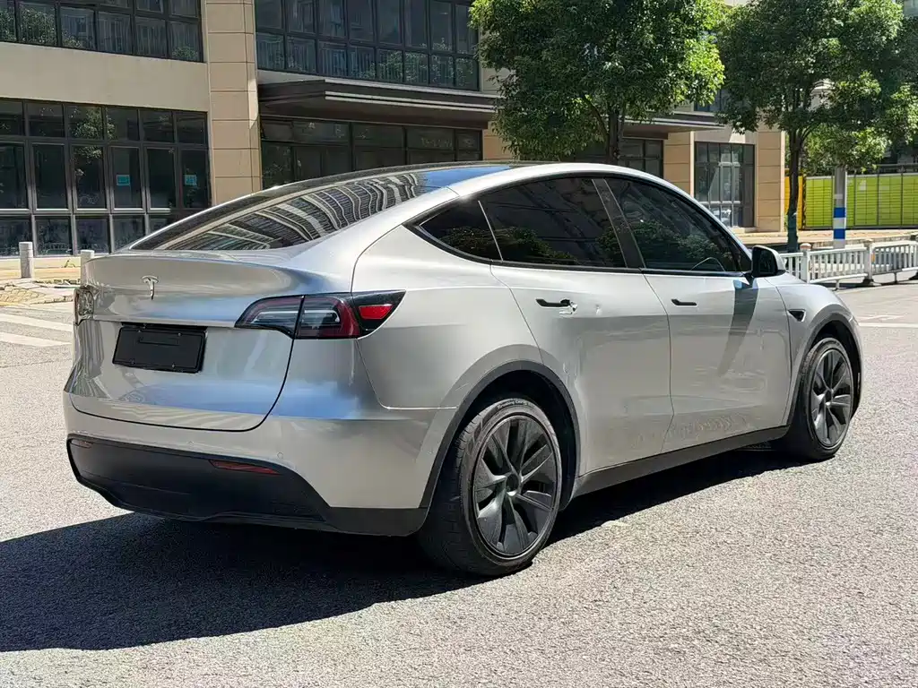 Tesla Model Y — фото 11