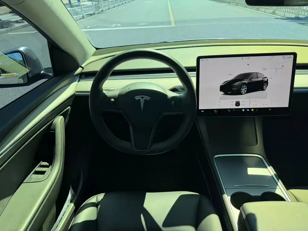 Tesla Model Y — фото 14