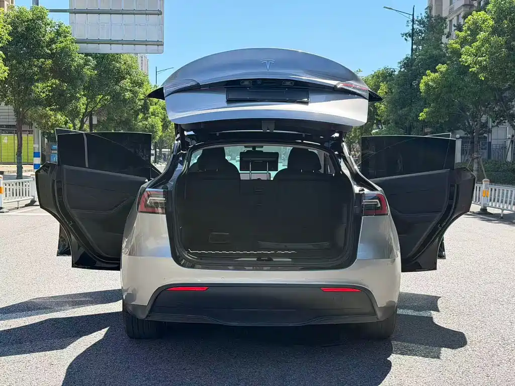 Tesla Model Y — фото 3