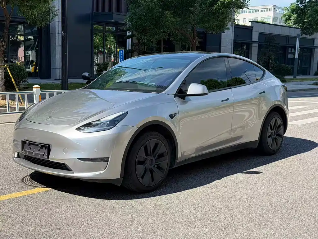 Tesla Model Y — фото 6