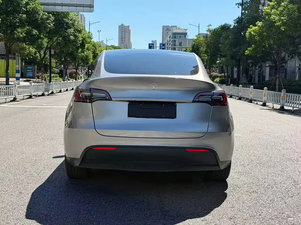 Tesla Model Y — фото 9