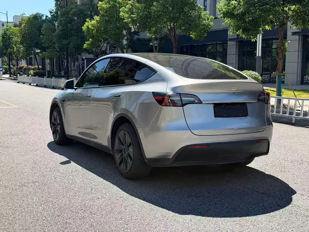 Tesla Model Y — фото 10