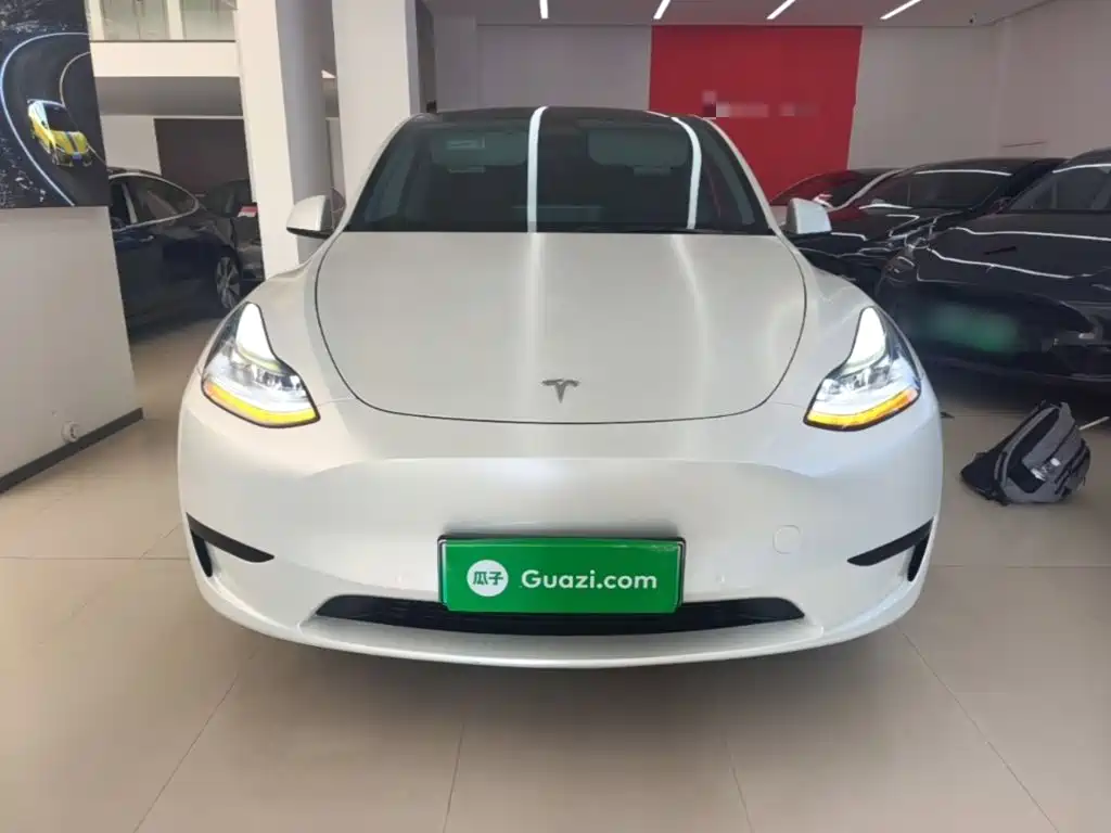 Tesla Model Y — фото 3