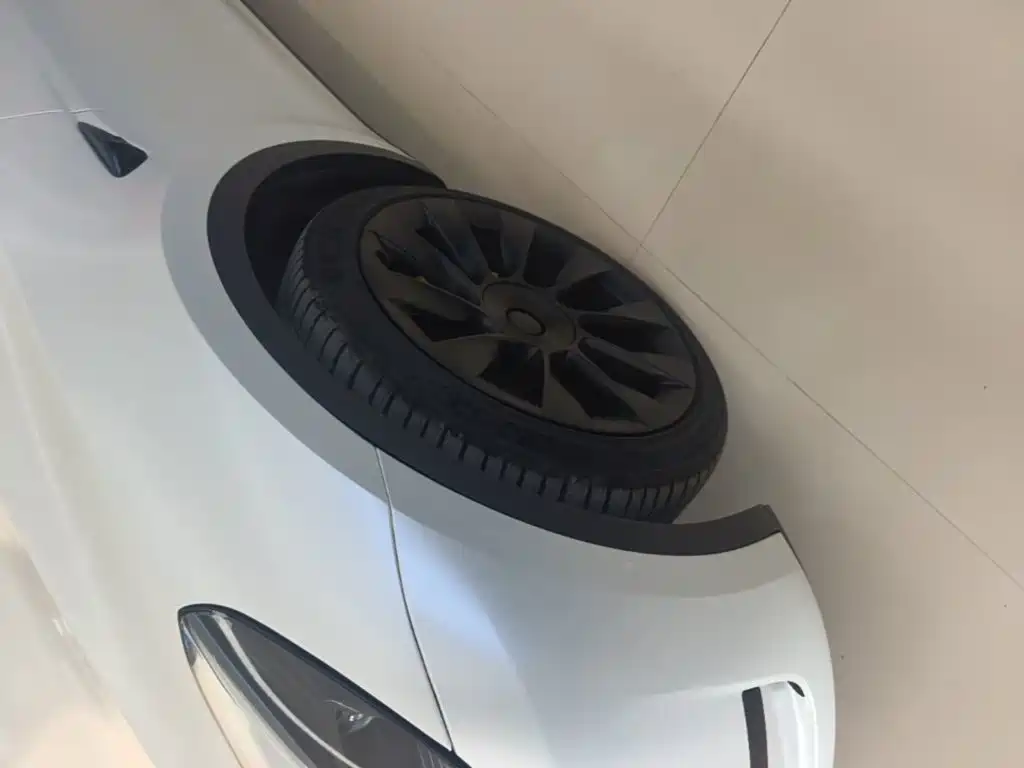 Tesla Model Y — фото 23