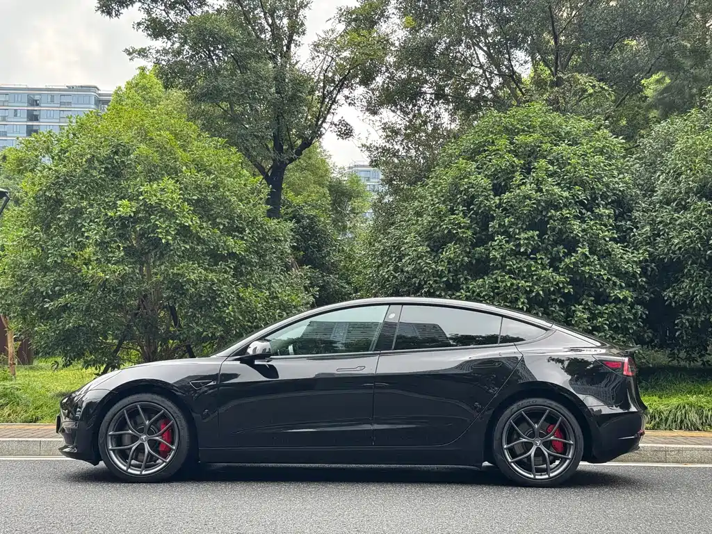 Tesla Model 3 — фото 3