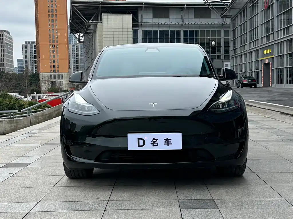 Tesla Model Y — фото 2