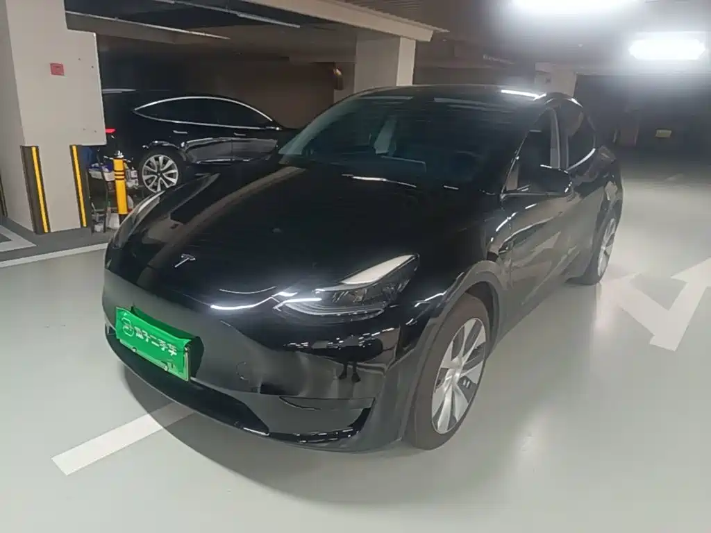 Tesla Model Y — фото 2