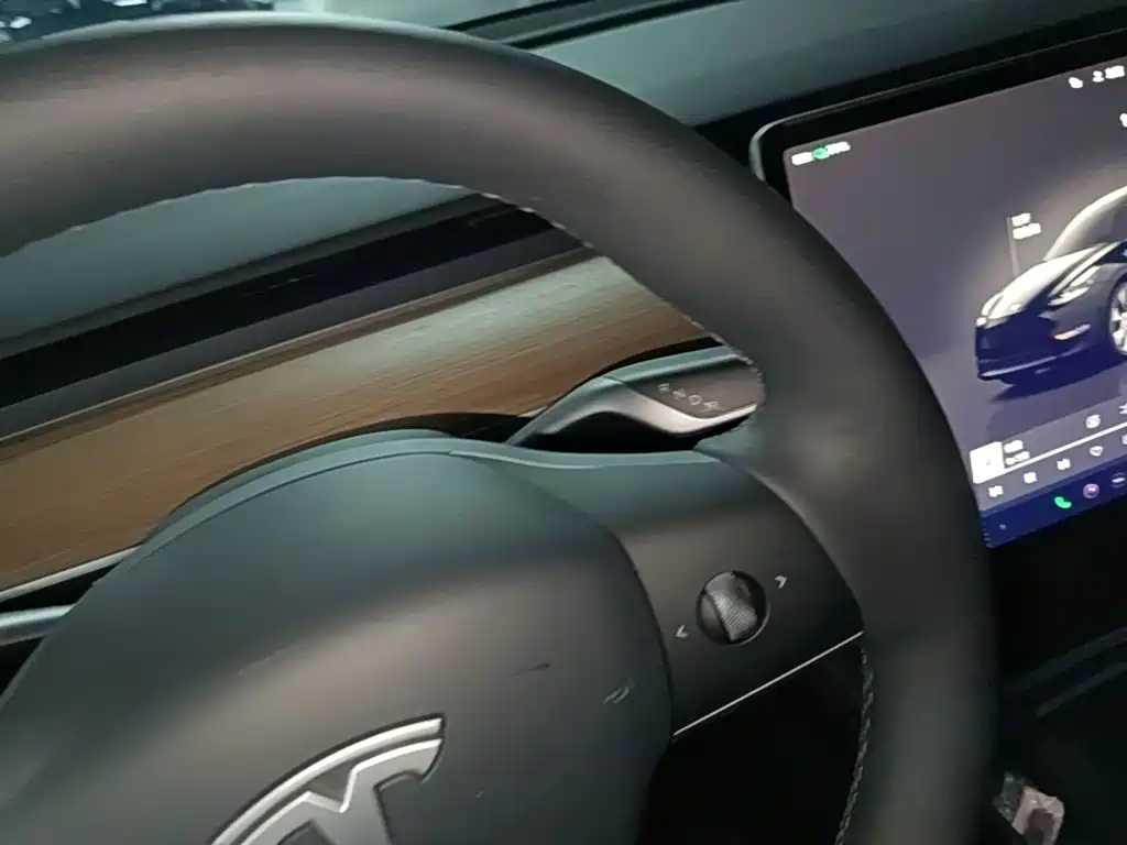 Tesla Model Y — фото 14