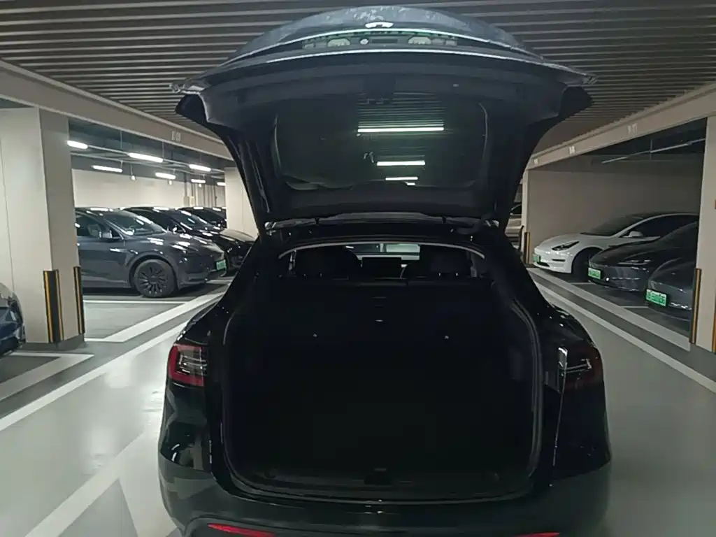 Tesla Model Y — фото 19