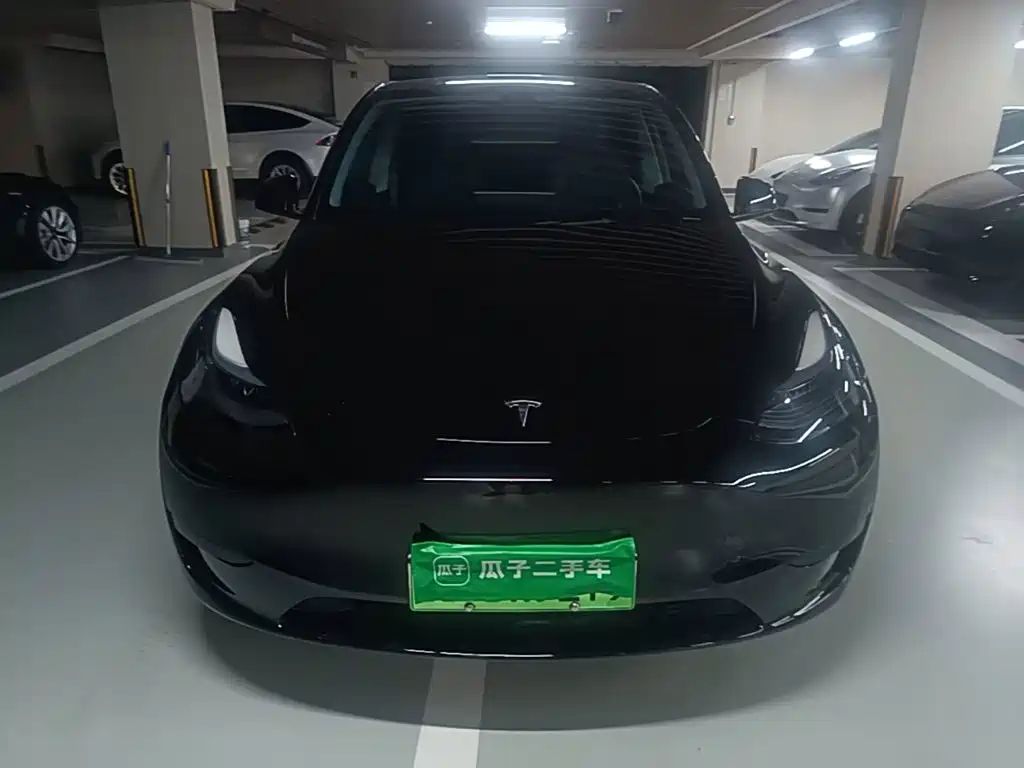 Tesla Model Y — фото 3