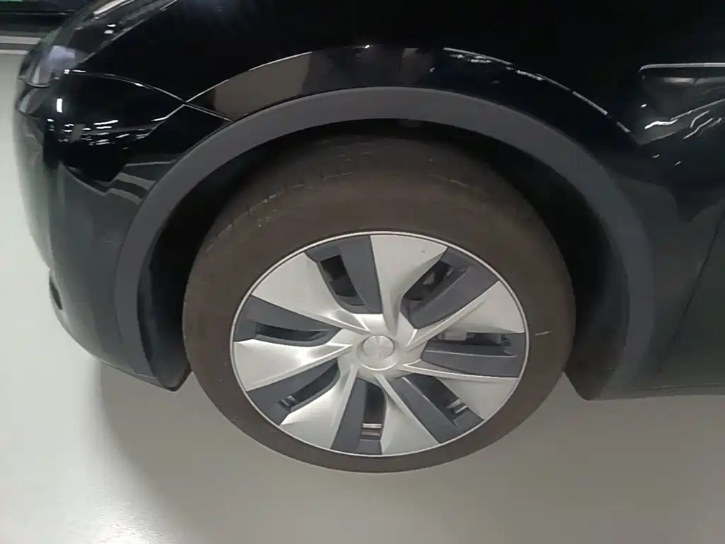 Tesla Model Y — фото 23