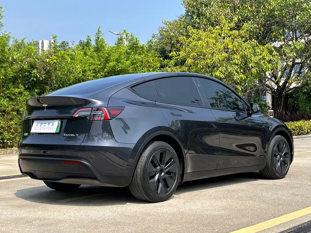 Tesla Model Y — фото 11