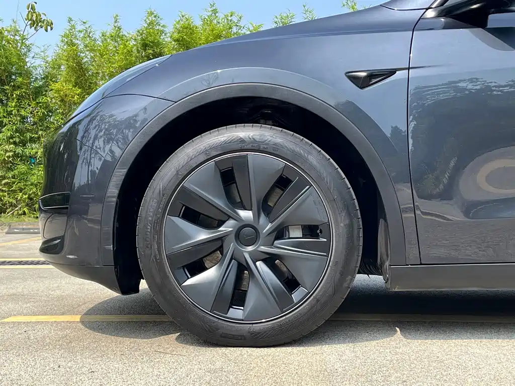 Tesla Model Y — фото 14
