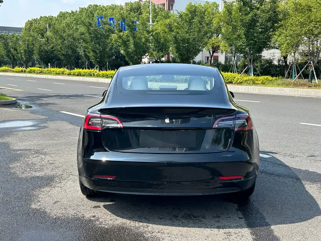 Tesla Model 3 — фото 9
