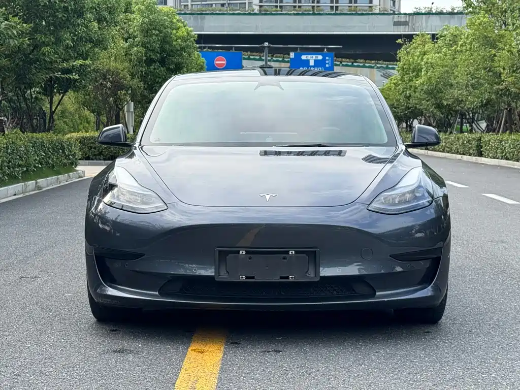 Tesla Model 3 — фото 2