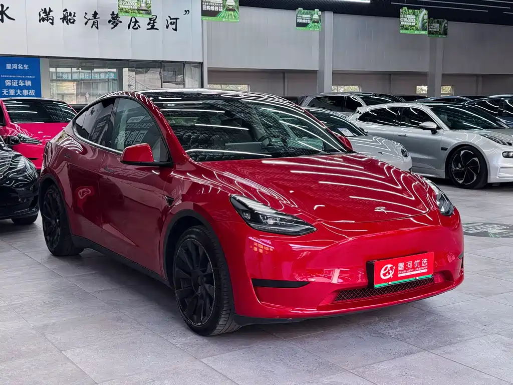 Tesla Model Y — фото 3